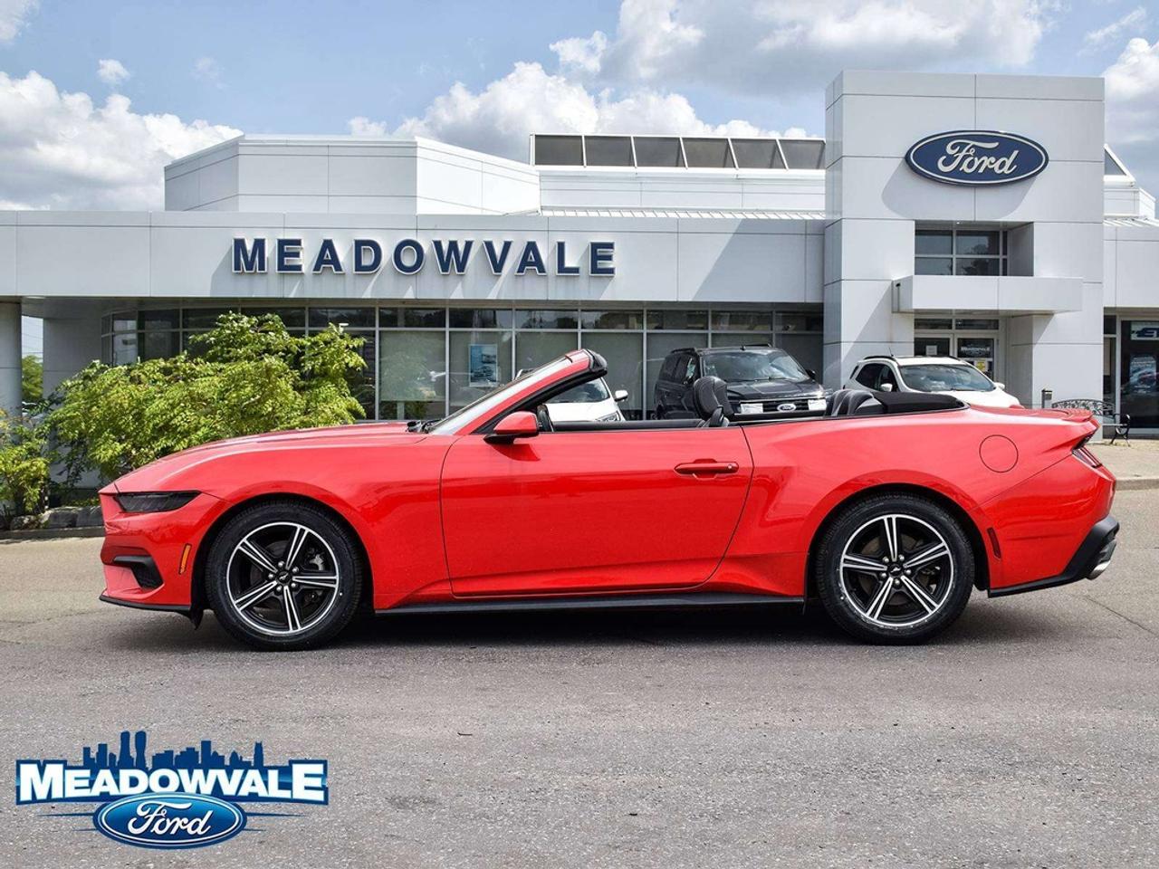2025 Ford Mustang EcoBoost Photo