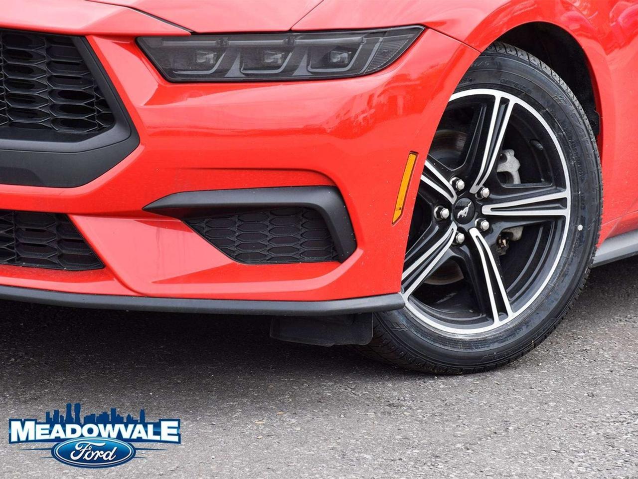 2025 Ford Mustang EcoBoost Photo5