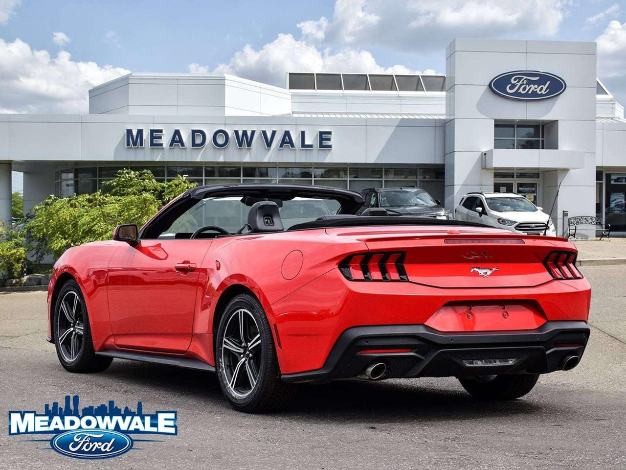 2025 Ford Mustang EcoBoost Photo