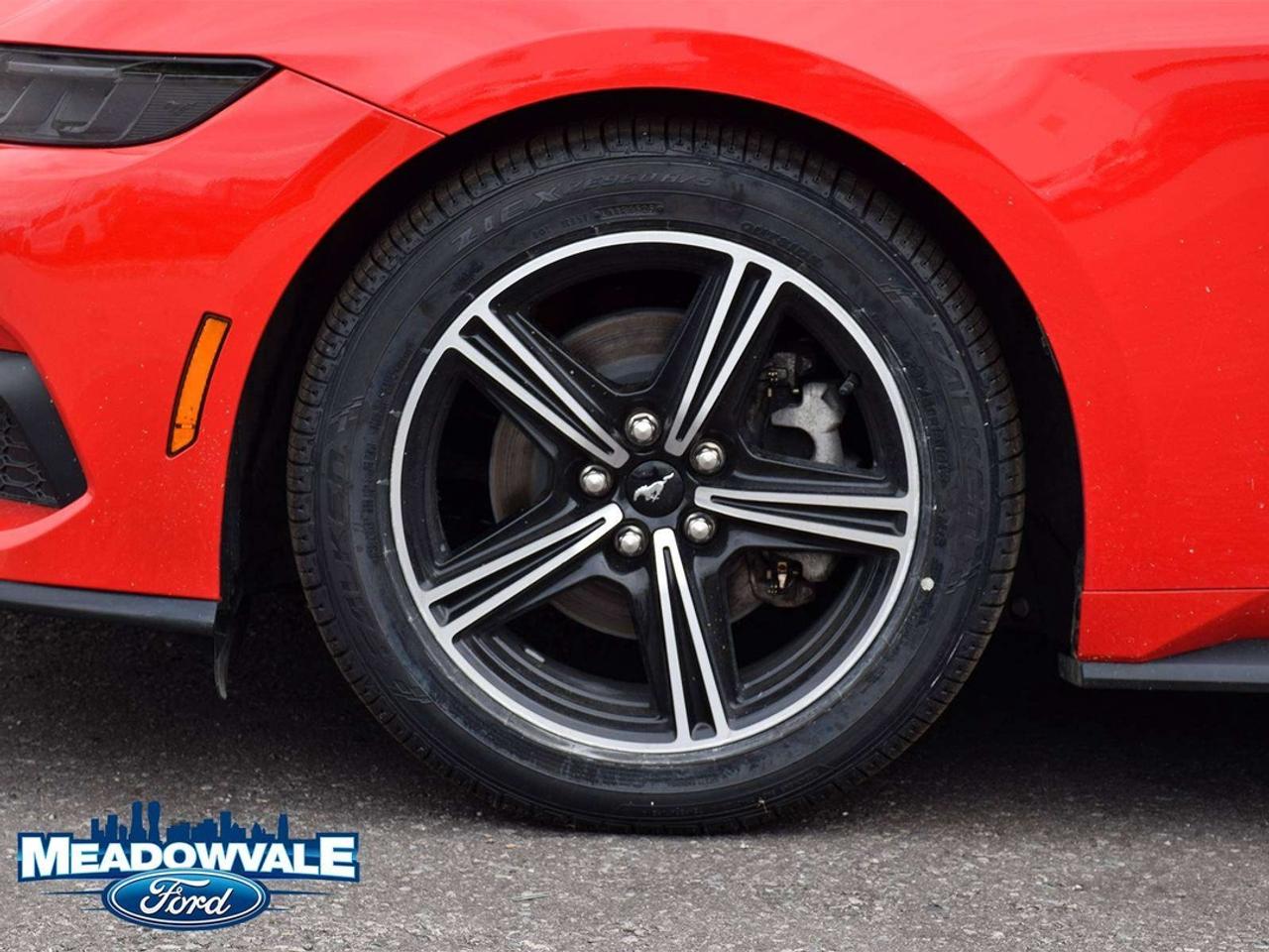 2025 Ford Mustang EcoBoost Photo