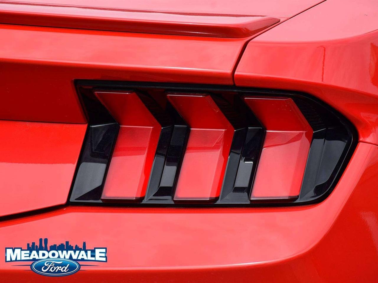 2025 Ford Mustang EcoBoost Photo