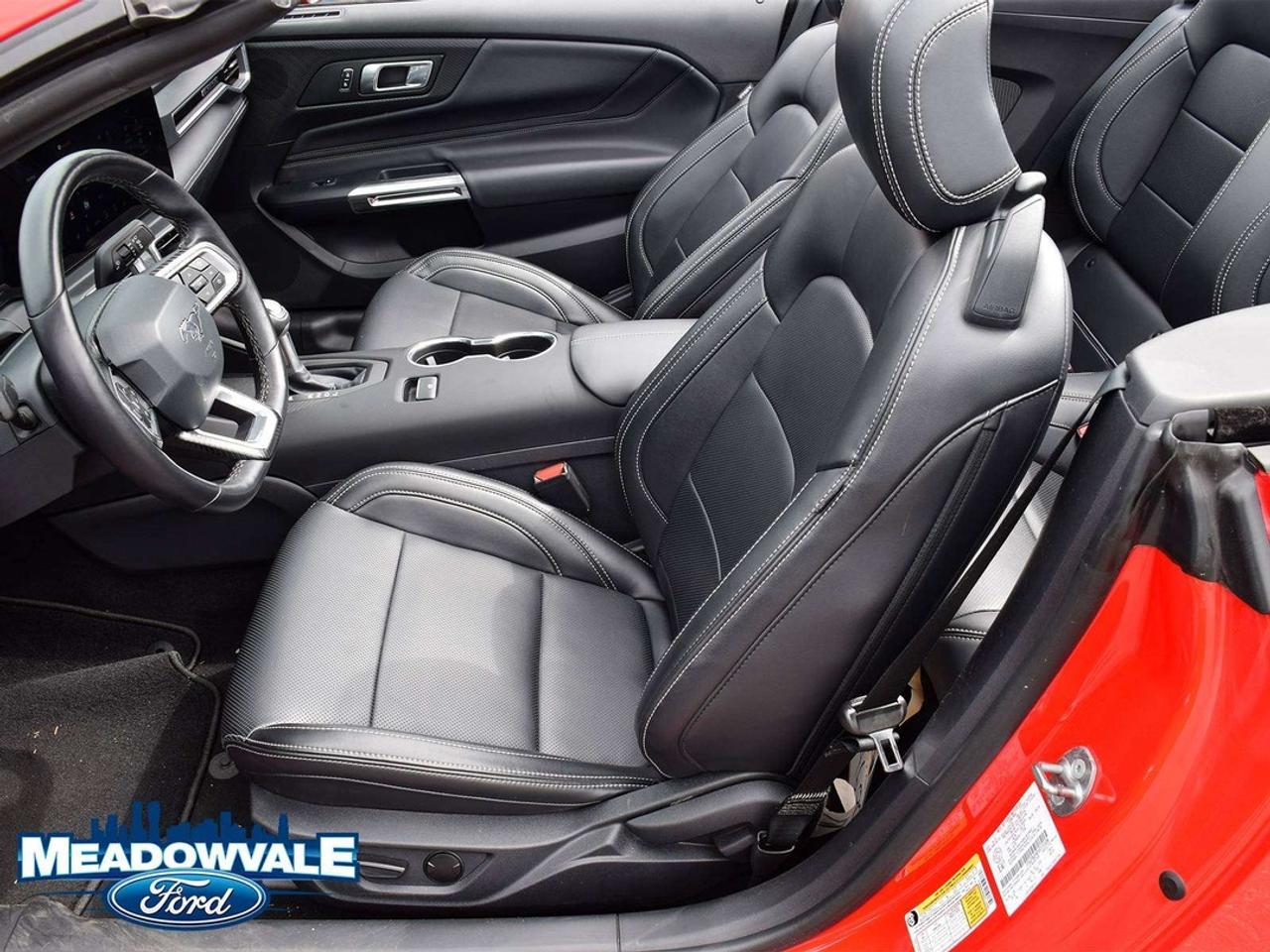 2025 Ford Mustang EcoBoost Photo