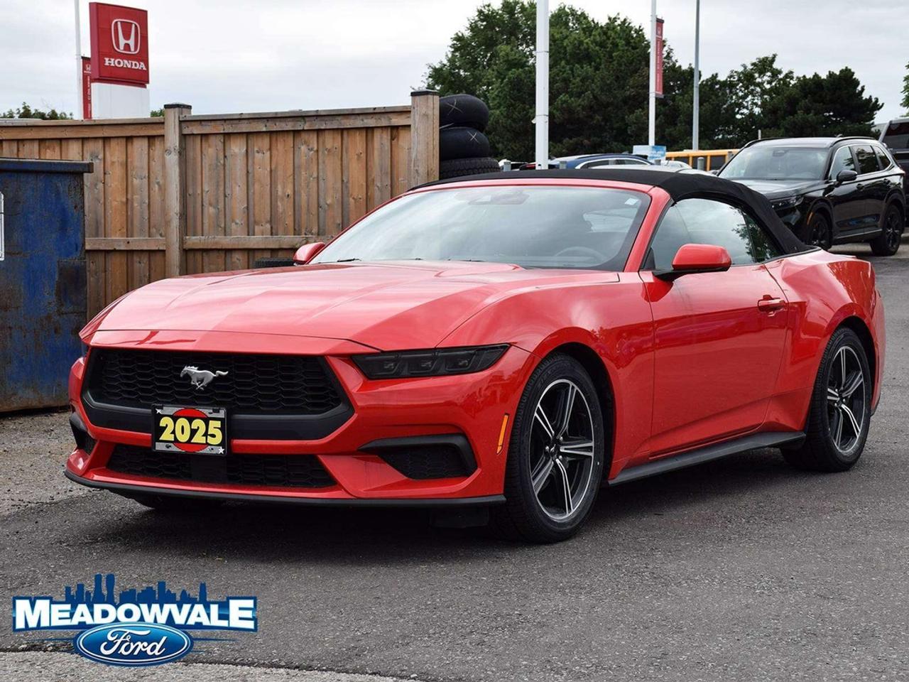 2025 Ford Mustang EcoBoost Photo
