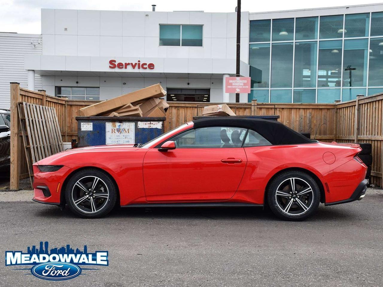 2025 Ford Mustang EcoBoost Photo