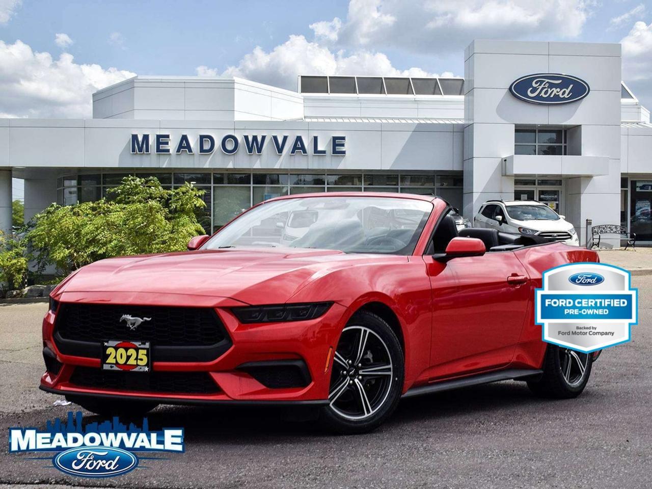 2025 Ford Mustang EcoBoost Photo
