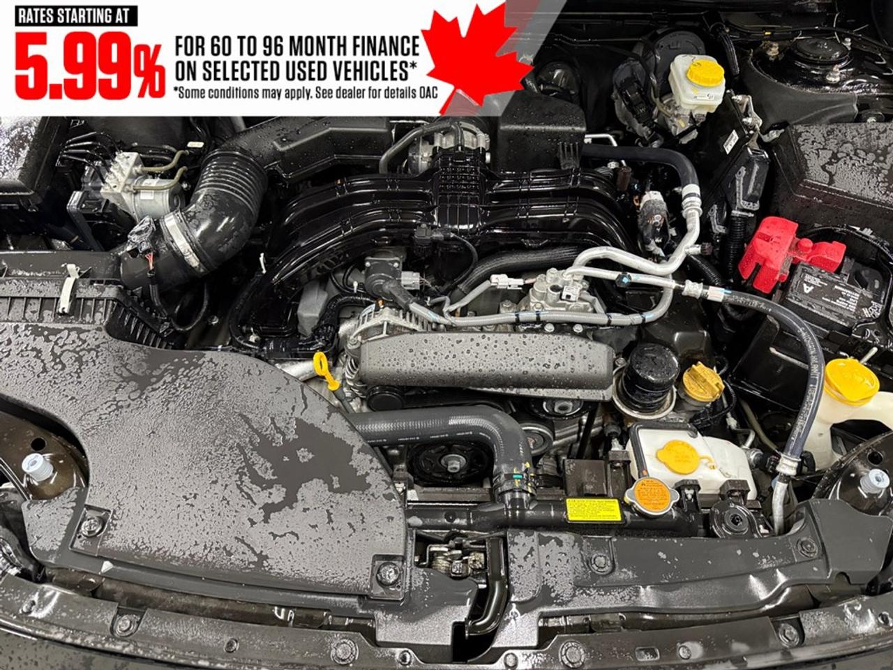 2024 Subaru Outback Convenience AWD Photo