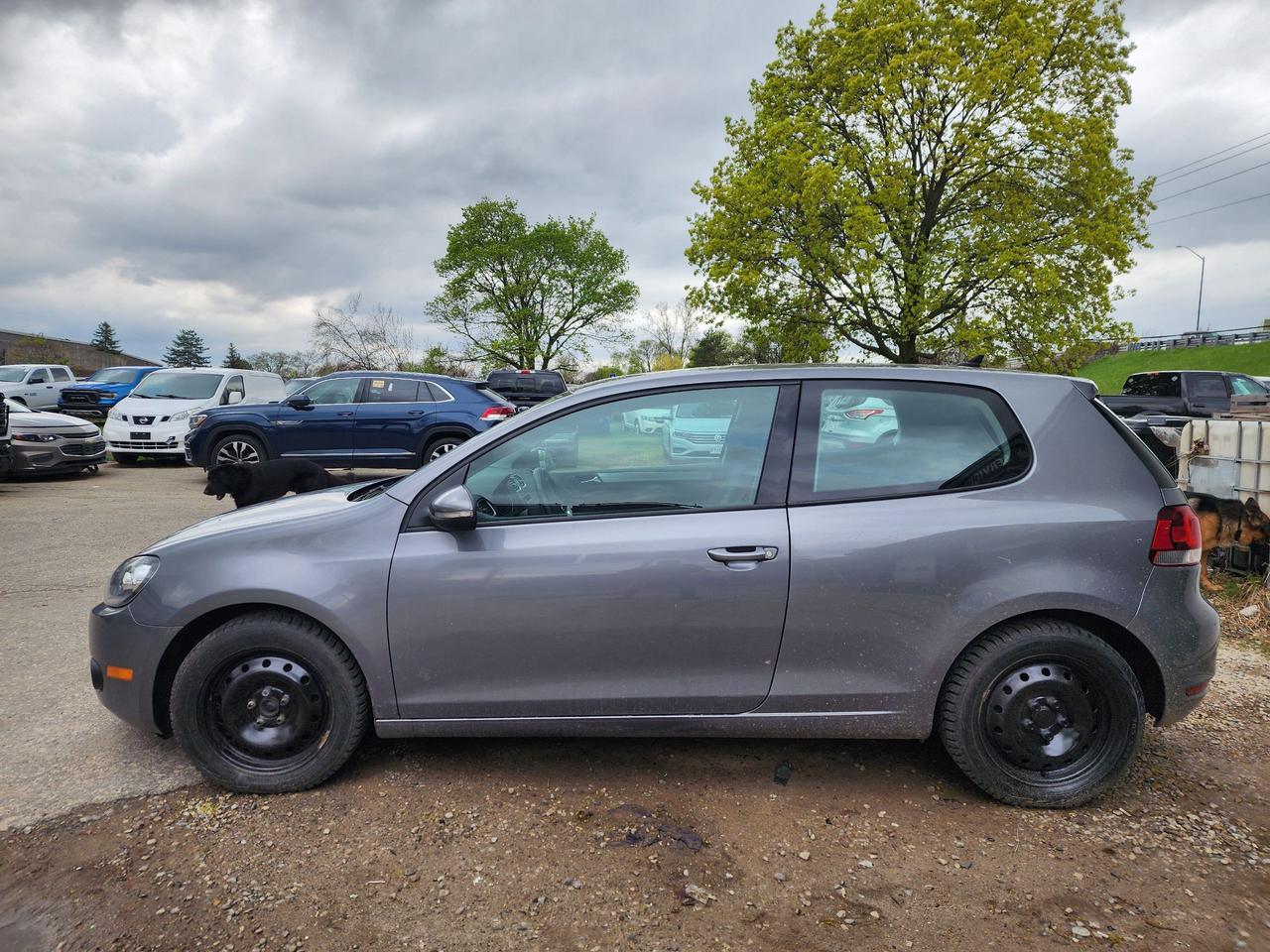 2010 Volkswagen Golf TRENDLINE l One Owner l Manual l Great Condition Photo