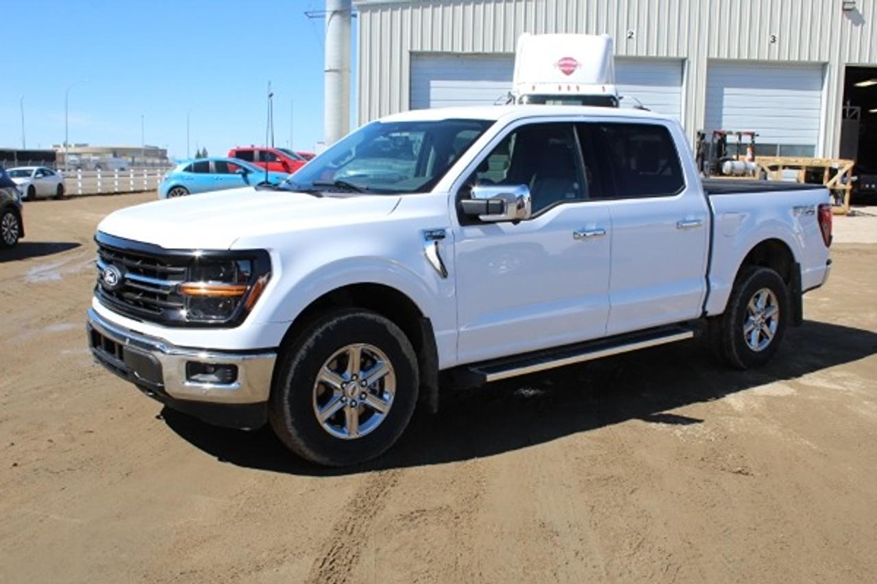 2025 Ford F-150 XLT w/htd cloth, NAV, BUC - Photo #1