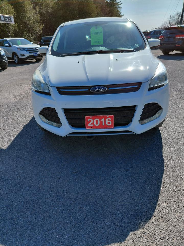 2016 Ford Escape SE Photo