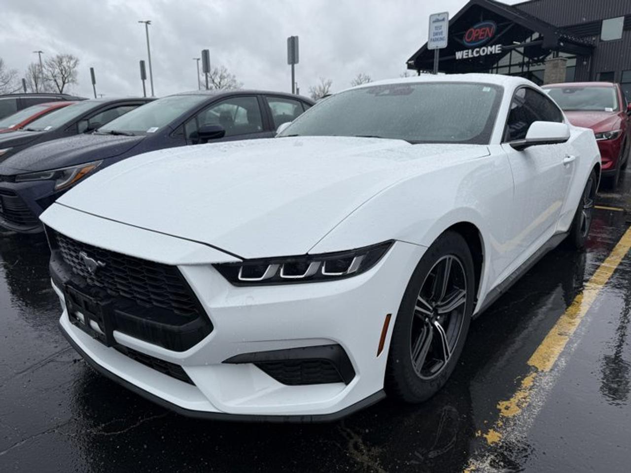 Come see this certified 2024 Ford Mustang EcoBoost Coupe | Auto | Heated Seats | Dual Zone Climate | Sync 4 Wireless CarPlay | BSM & More !. Its Automatic transmission and 2.3 L engine will keep you going. This Ford Mustang features the following options: Reverse Camera, Dual Zone Climate Control, Apple Car Play, Air Conditioning, Heated Seats, Tilt Steering Wheel, Steering Radio Controls, Power Windows, Power Locks, and Traction Control. Test drive this vehicle at Mark Wilsons Better Used Cars, 5055 Whitelaw Road, Guelph, ON N1H 6J4.MASSIVE SELECTION: 500+ vehicles in ONE LOCATION, all Live Market Priced for the best value!STRAIGHTFORWARD & TRANSPARENT PRICING: Our Advertised Price INCLUDES:Safety Certification! (No separate certification fee upcharge).FREE Carfax History Report!NO upcharge for paying cash!CONFIDENCE & PEACE OF MIND: 30-Day/3,000 km Warranty INCLUDED! Plus a 5-Day Exchange Privilege!*EASY FINANCING: Better-than-bank rates, $0 Down, and 3 Months No Payments available OAC. BAD CREDIT APPROVED HERE!WE BUY CARS: Get Top Dollar for your trade, or sell us your vehicle for CASH even if you dont buy ours!www.shopwilsons.comAn Honest, Transparent Buying Experience. Trusted in business since 1961!(Cash Prices Exclude HST and Licensing Fees only.)