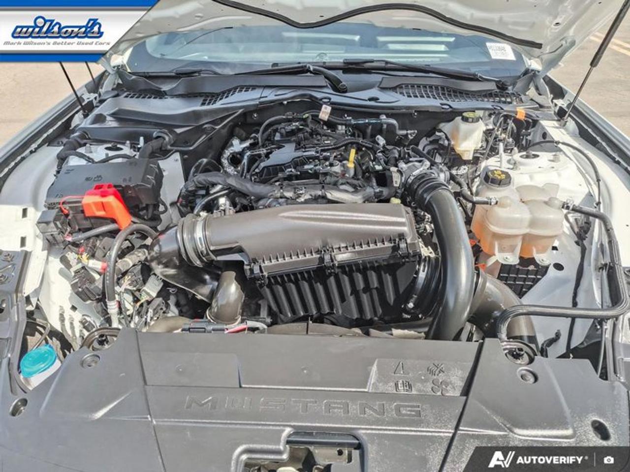 2024 Ford Mustang EcoBoost Coupe | Auto | Heated Seats | Dual Zone Climate | Sync 4 Wireless CarPlay | BSM & More ! Photo
