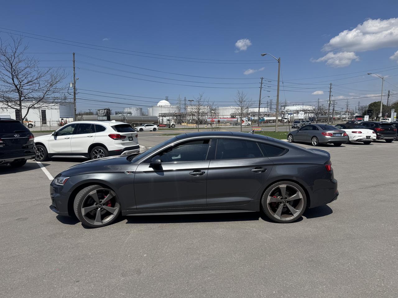 2019 Audi S5 TECHNIK AWD LEATHER PAN/ROOF NAV B/SPOT COOLED SEA Photo3