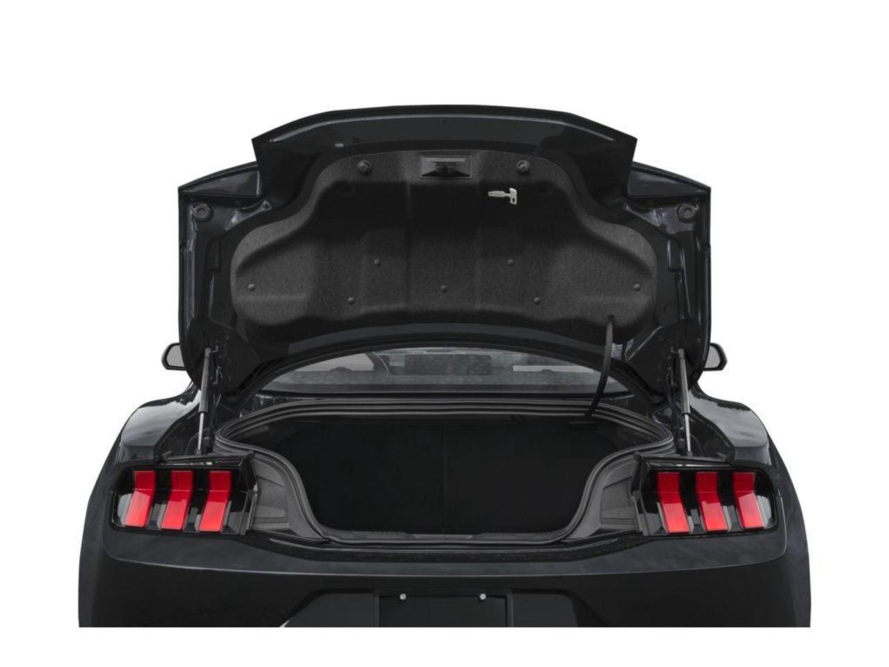 2026 Ford Mustang EcoBoost Photo