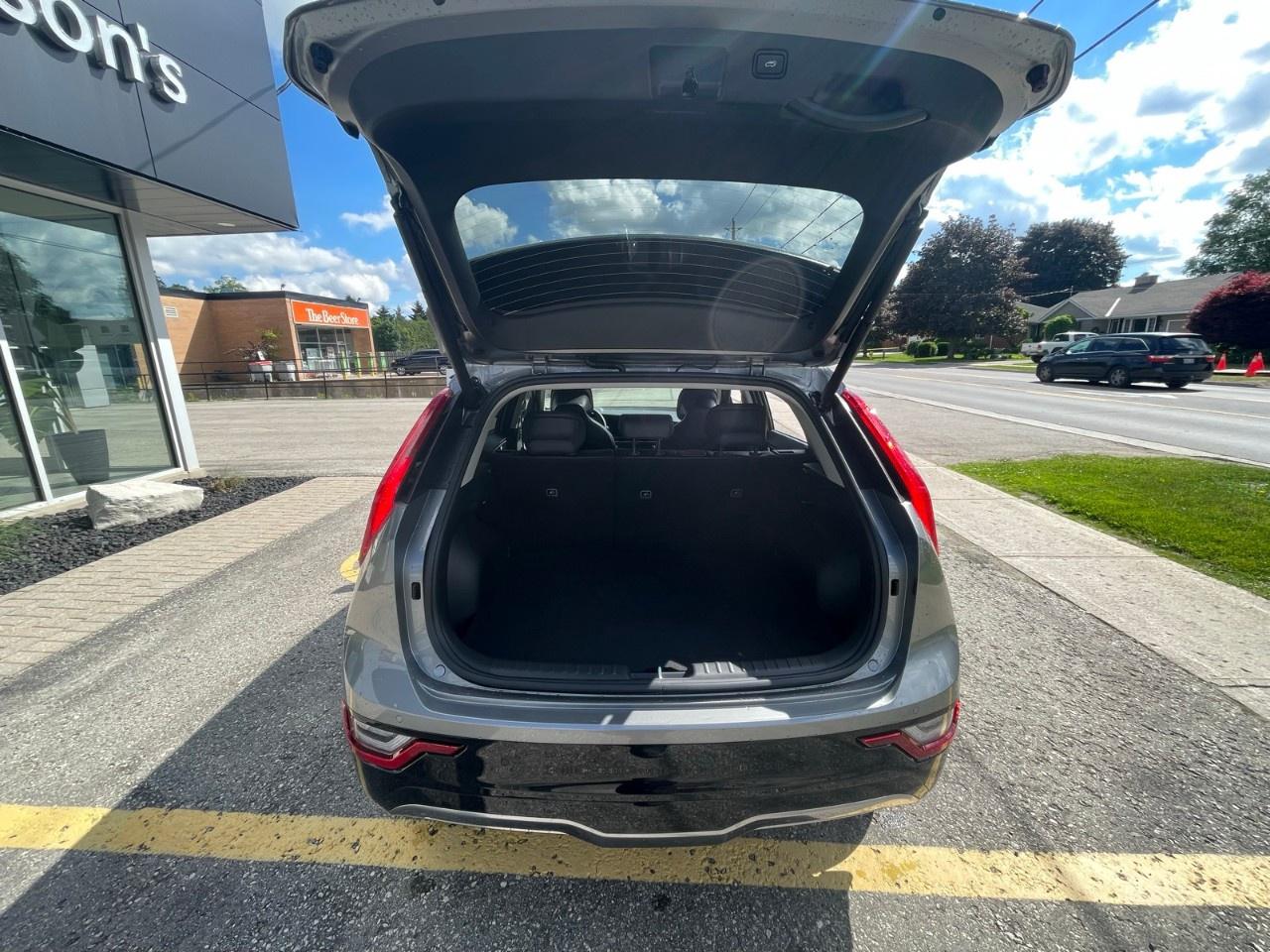 2026 Kia NIRO EV Photo