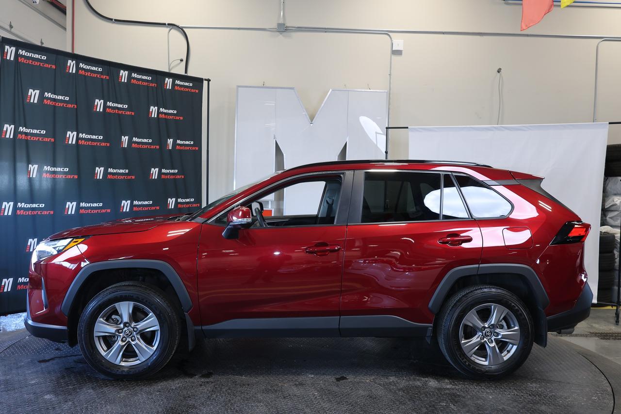2025 Toyota RAV4 XLE AWD - SUNROOF|CAMERA|BLINDSPOT Photo