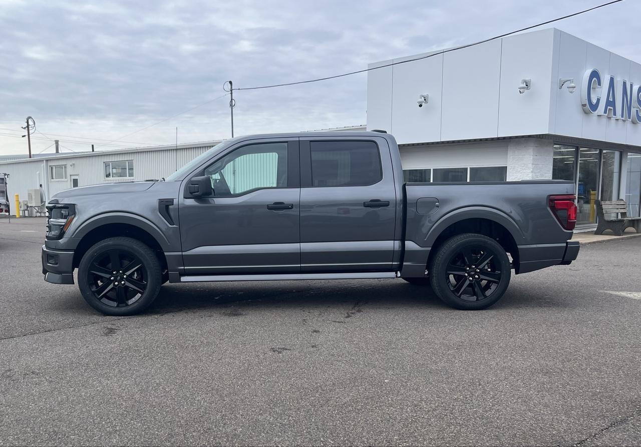 2026 Ford F-150 STX 4WD SuperCrew 5.5' Box Photo3