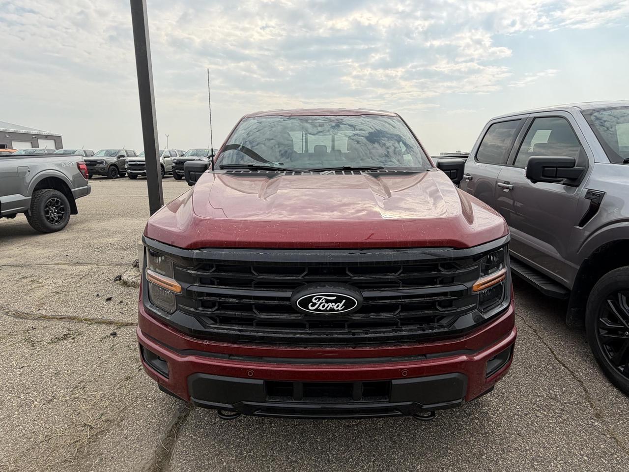 2026 Ford F-150 XLT Up to $10,000 off or 0% Financing (See Dealer For Details) Photo2