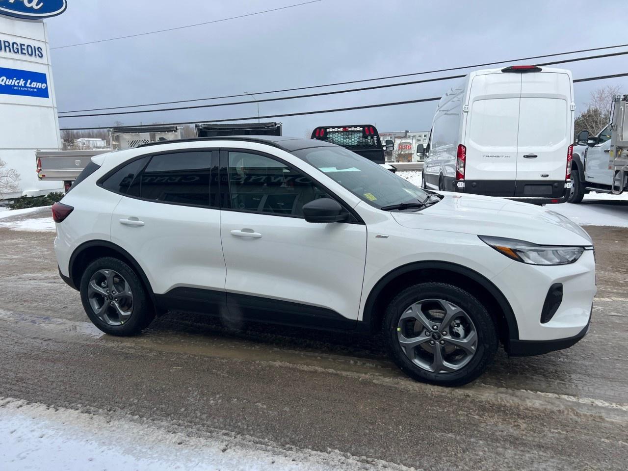 2025 Ford Escape ST-Line AWD Photo