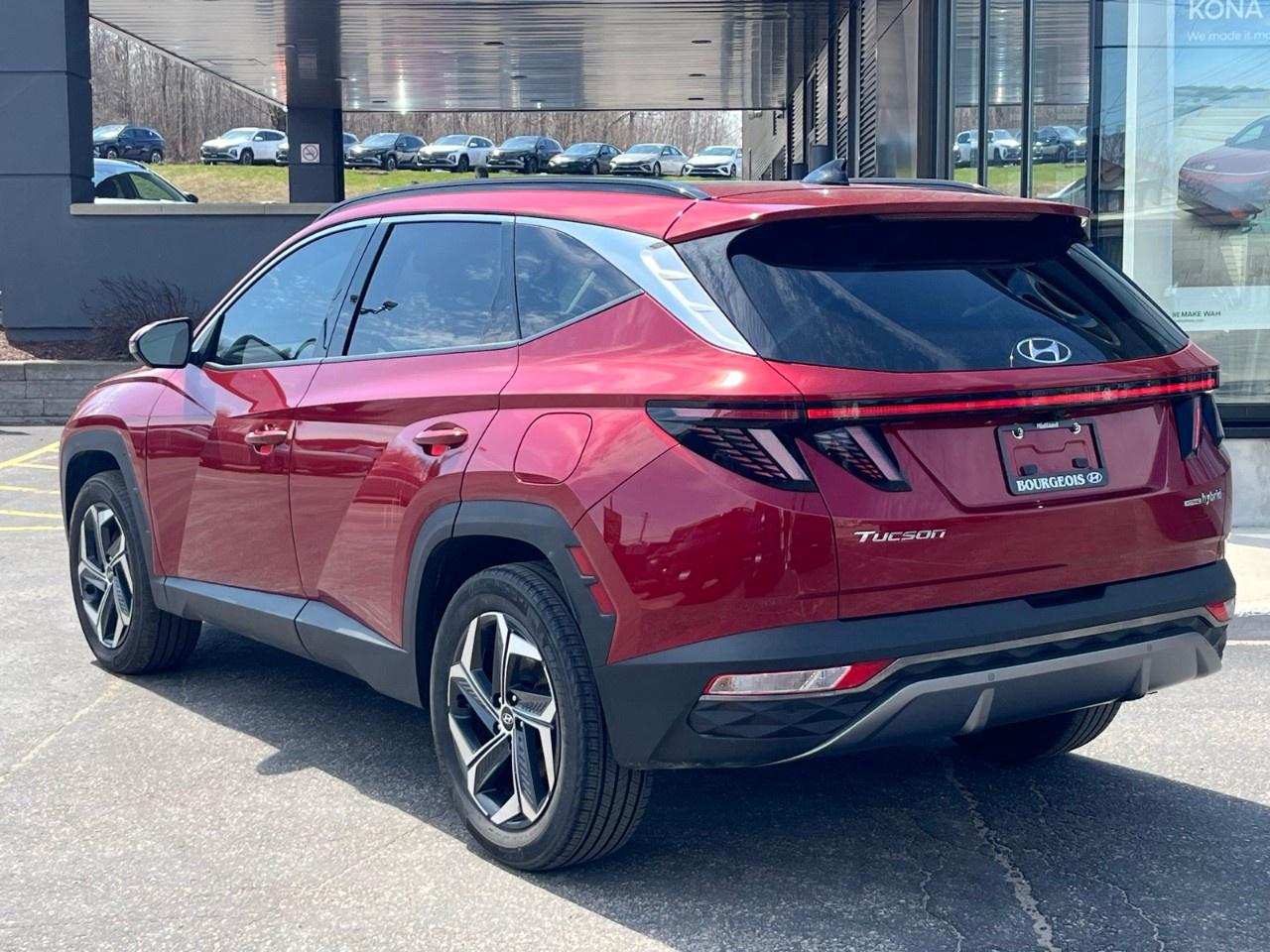 2023 Hyundai Tucson Hybrid Luxury AWD Photo