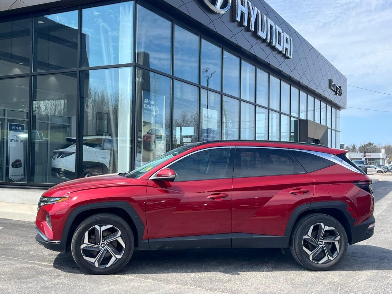 2023 Hyundai Tucson Hybrid Luxury AWD Photo