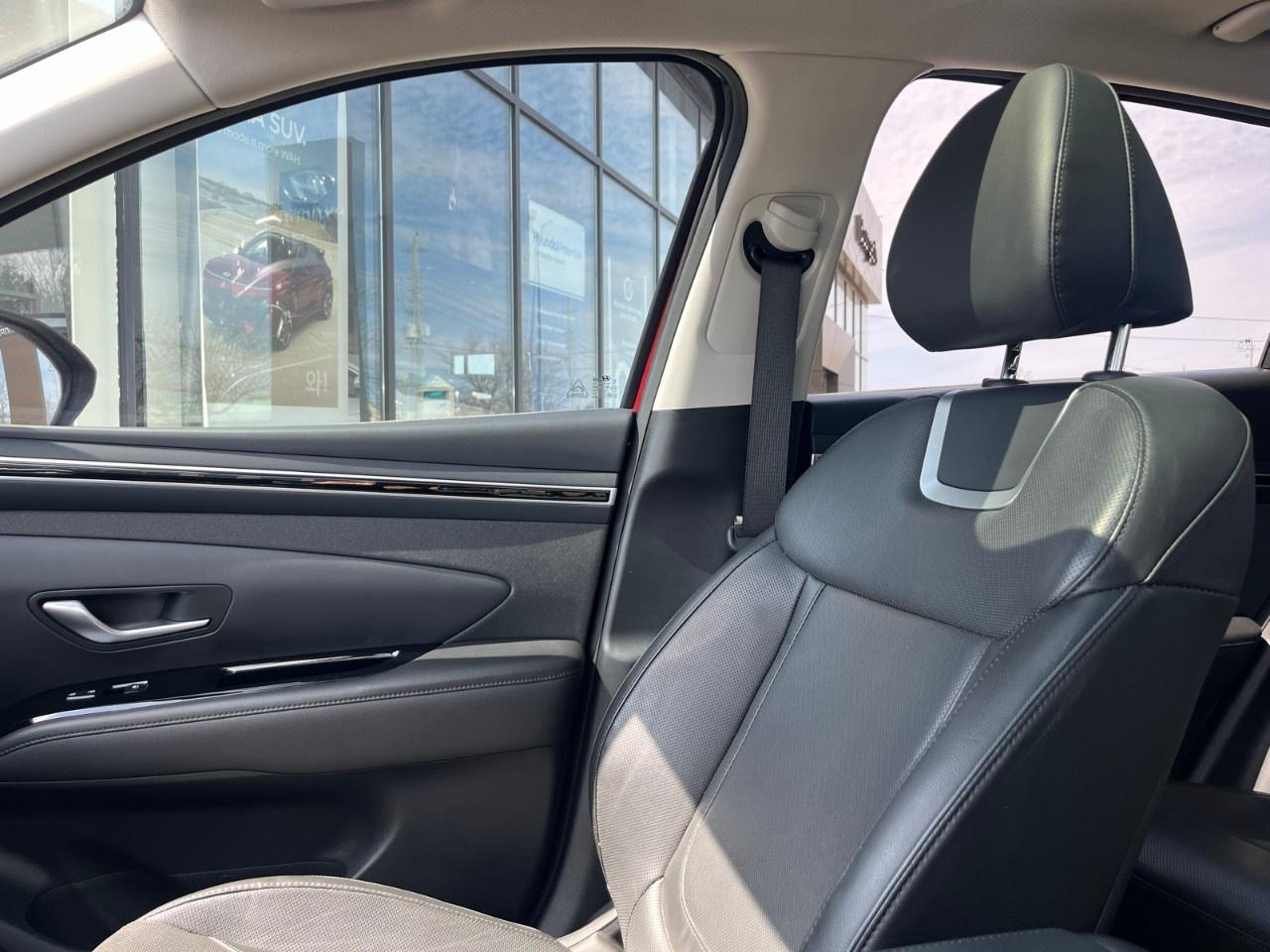 2023 Hyundai Tucson Hybrid Luxury AWD Photo