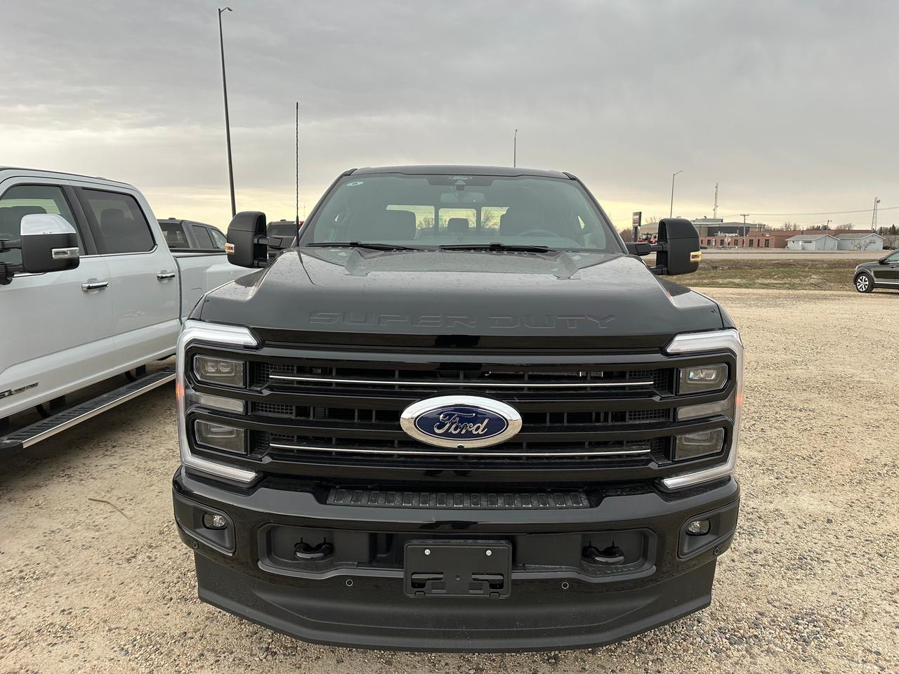 2026 Ford F-250 Super Duty SRW PLATINUM 4WD CREW CAB 8' BOX Photo