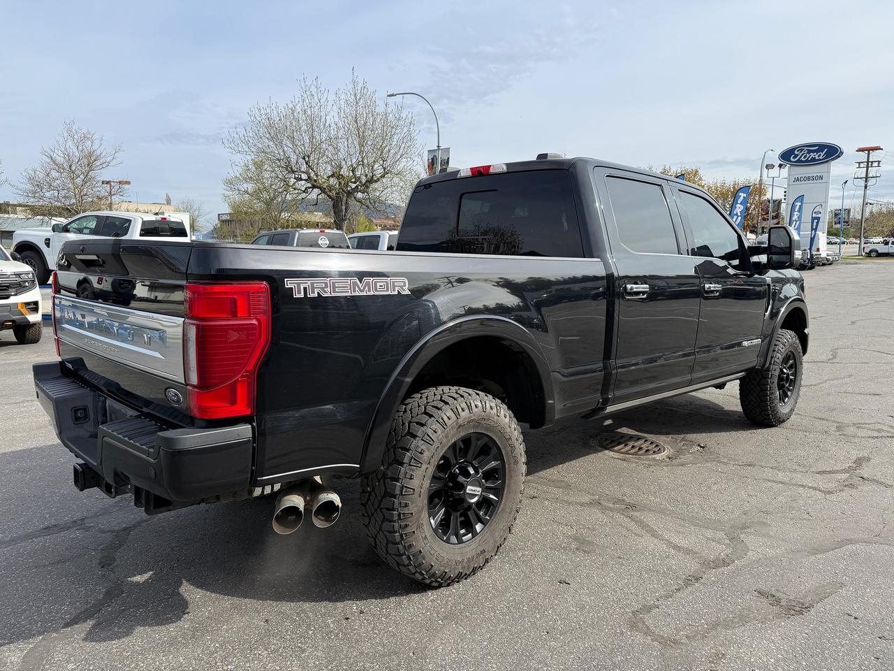 2021 Ford F-350 Super Duty SRW Platinum Photo4