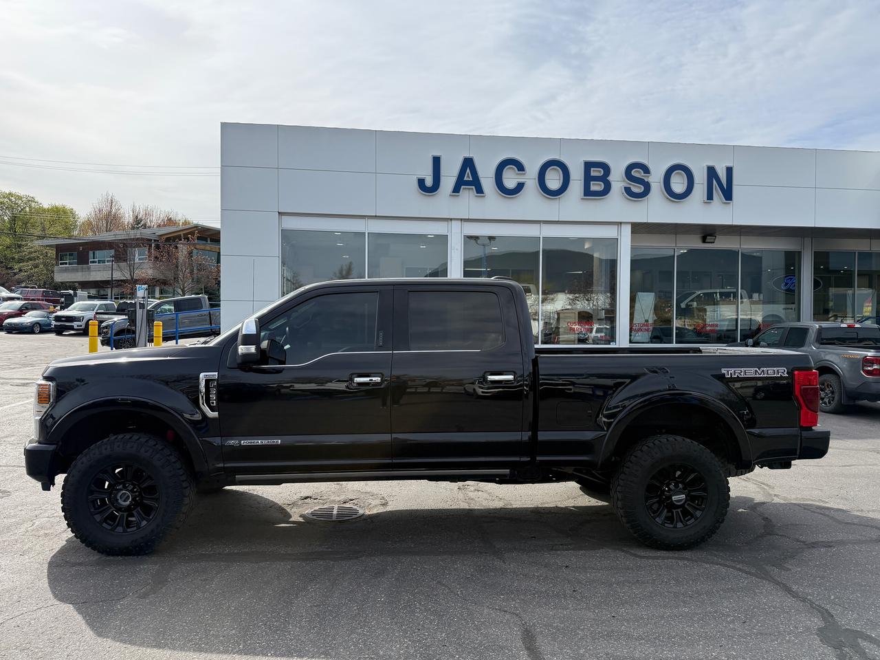 2021 Ford F-350 Super Duty SRW Platinum Photo1