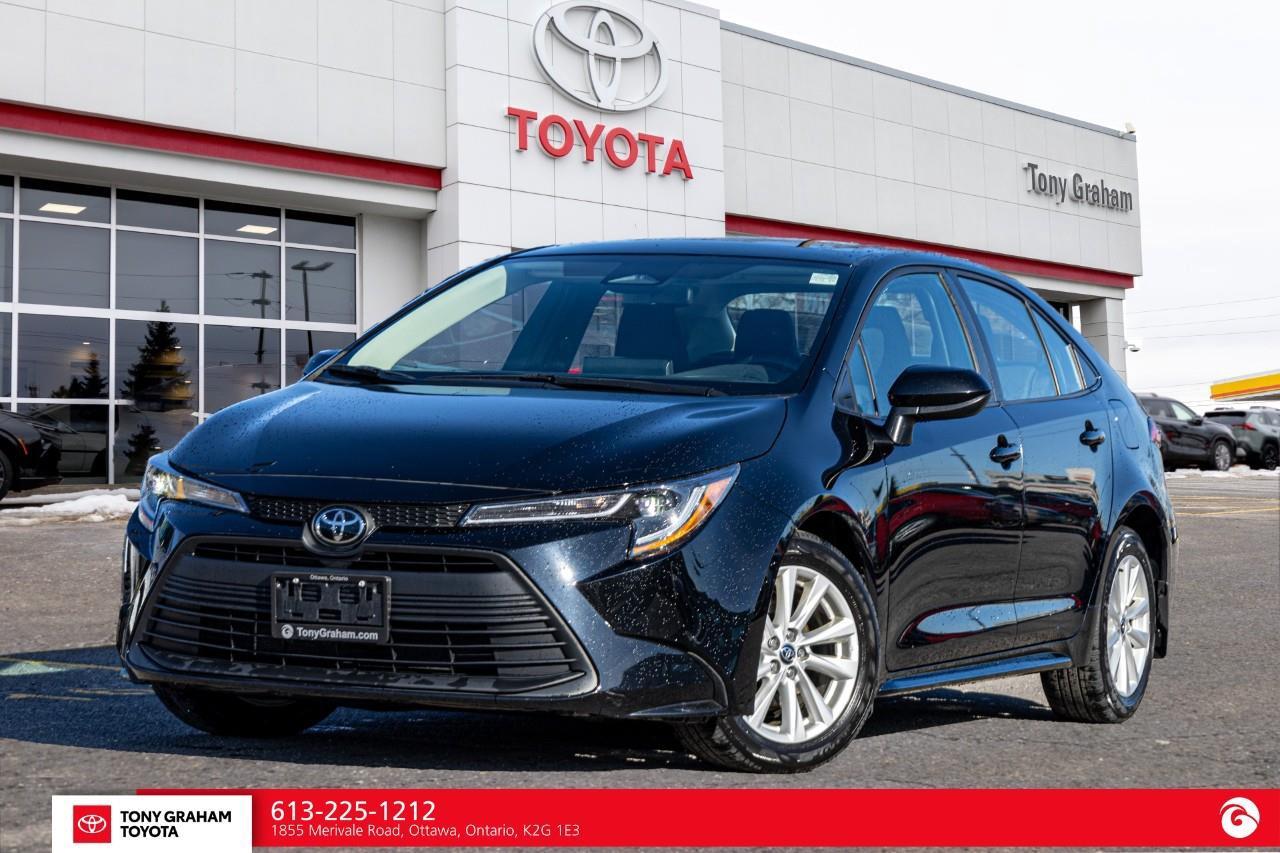 2024 Toyota Corolla LE UPGRADE PACKAGE Photo