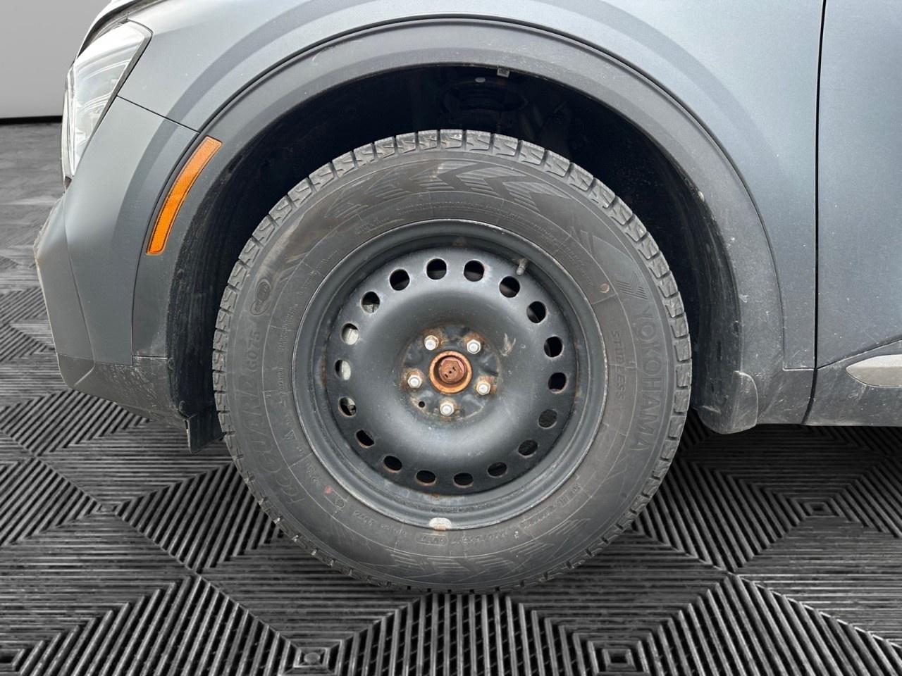 2023 Kia Sportage X-line Limited Photo