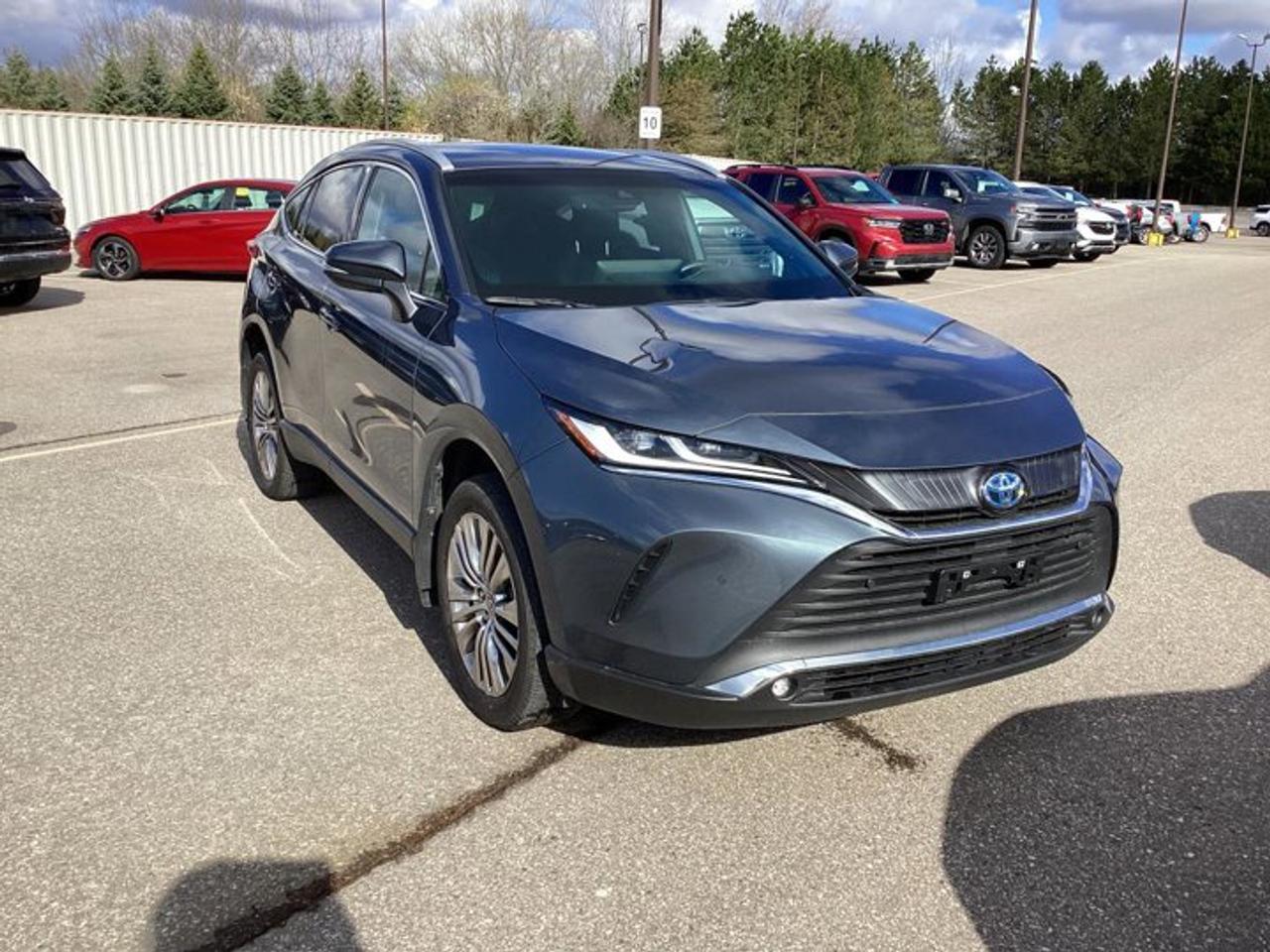 2024 Toyota Venza XLE AWD | No Accidents | Ventilated Front Seats Photo