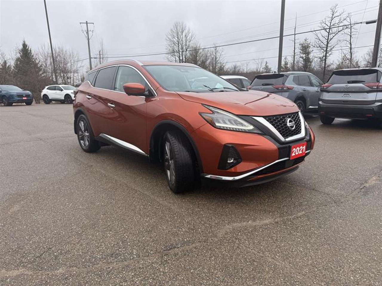 2021 Nissan Murano Platinum AWD CVT Photo