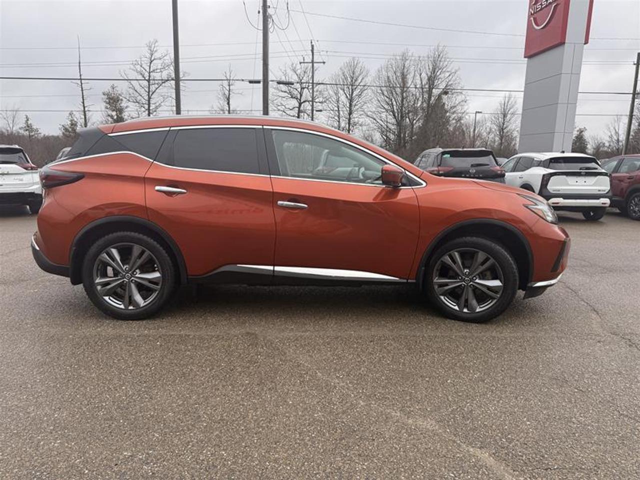 2021 Nissan Murano Platinum AWD CVT Photo