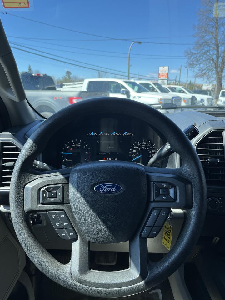 2020 Ford F-150 XL Photo