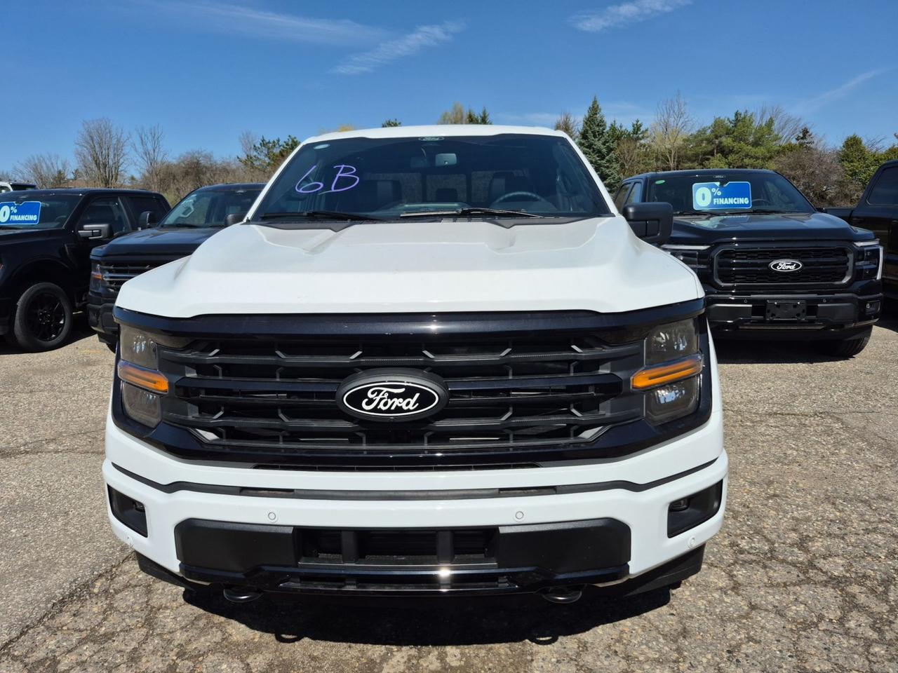 2026 Ford F-150 XLTXLT, MOONROOF, BLACK PKG, B&O SOUND, 360 CAM Photo