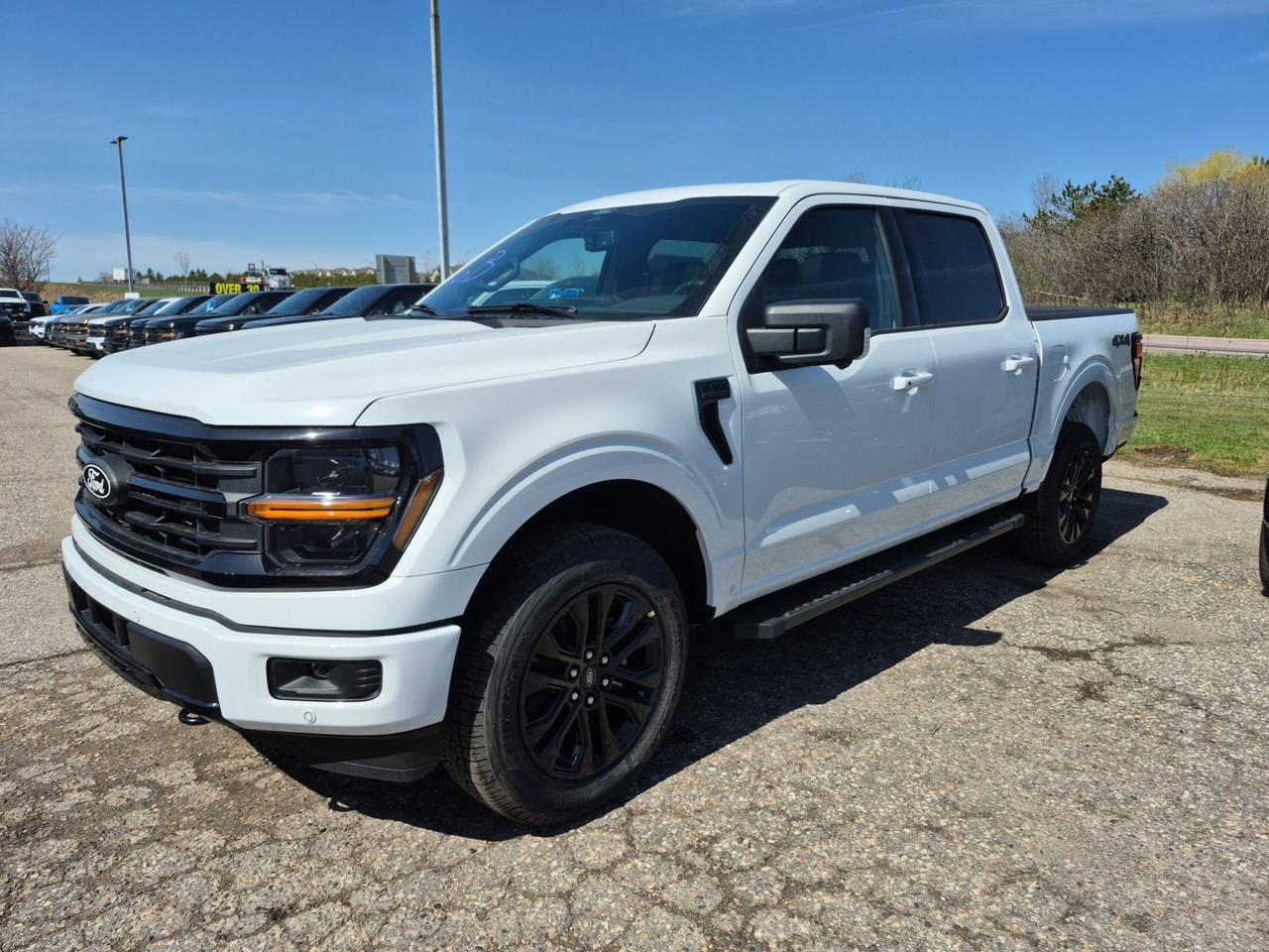 2026 Ford F-150 XLTXLT, MOONROOF, BLACK PKG, B&O SOUND, 360 CAM Photo0