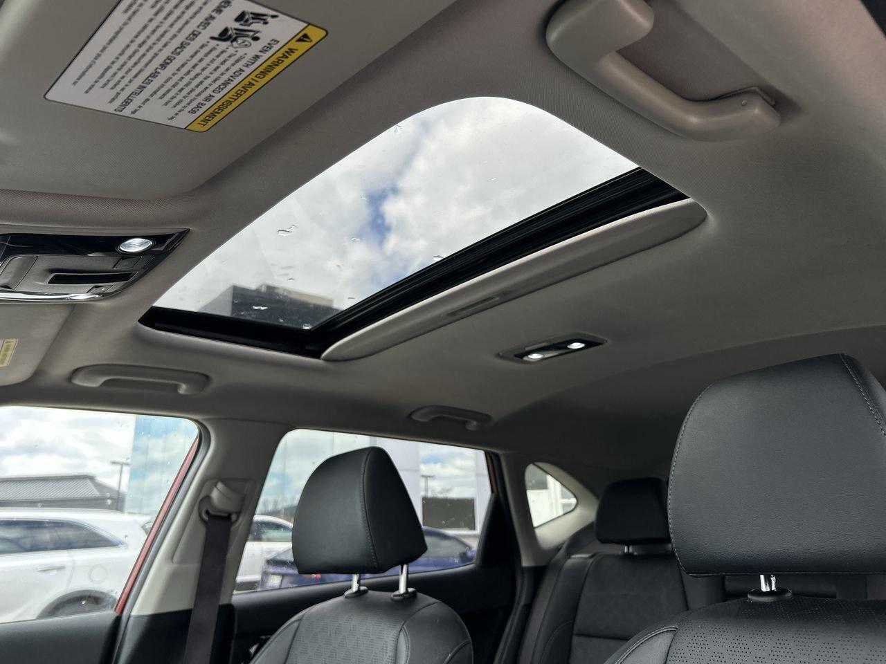2021 Kia Seltos EX AWD Lthr Seats   Sunroof   Apple Carplay/Androi Photo