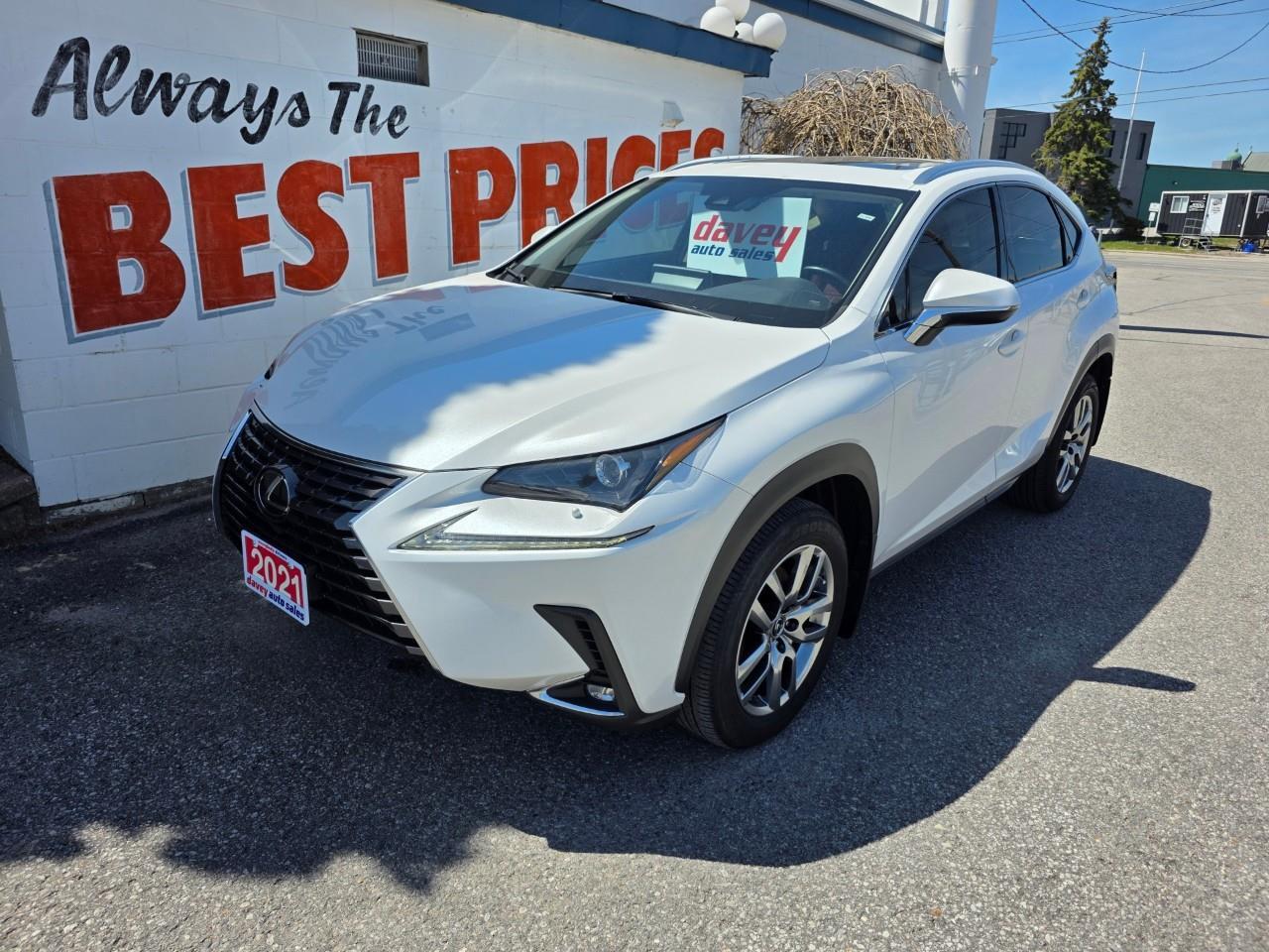 2021 Lexus NX 300 Base 4dr All-Wheel Drive Photo
