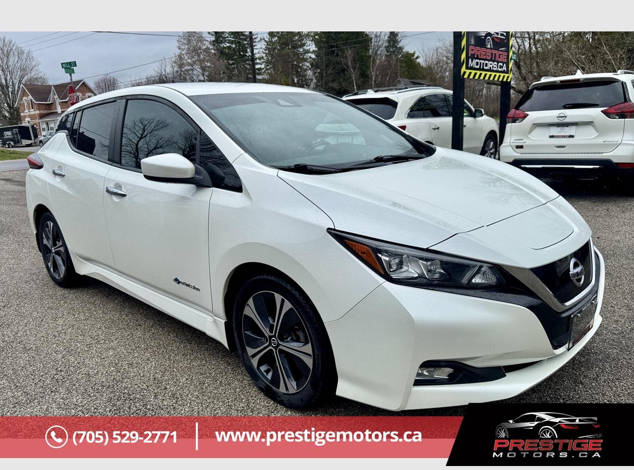 2019 Nissan Leaf SV Photo