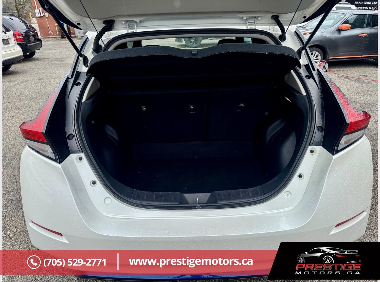 2019 Nissan Leaf SV Photo