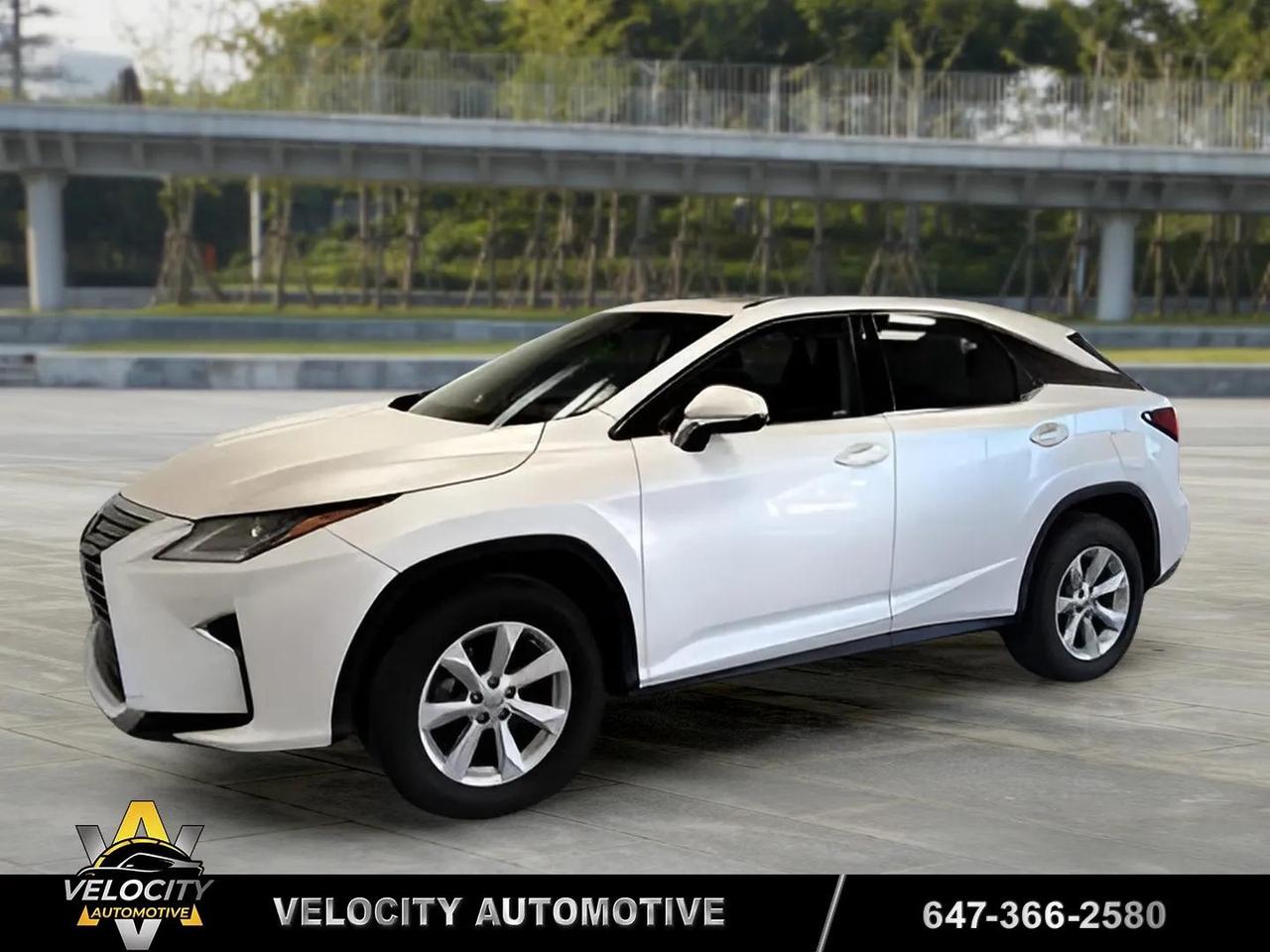 2017 Lexus RX 350 | No Accidents! Photo