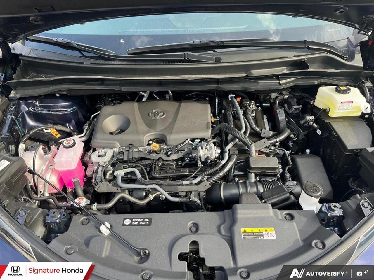 2026 Toyota Sienna XLE Photo