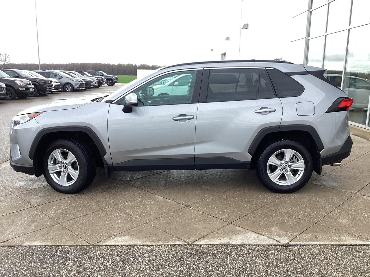 2019 Toyota RAV4 XLE FWD Photo