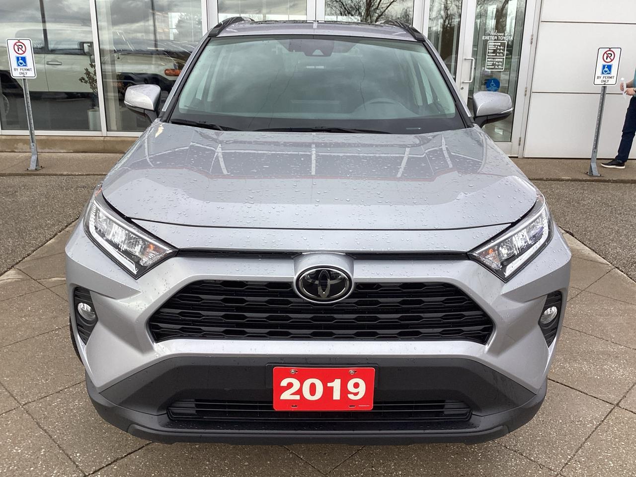 2019 Toyota RAV4 XLE FWD Photo