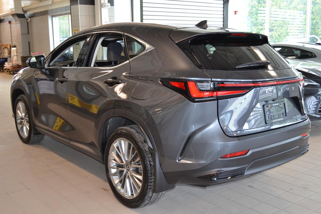 2024 Lexus NX 350  Photo