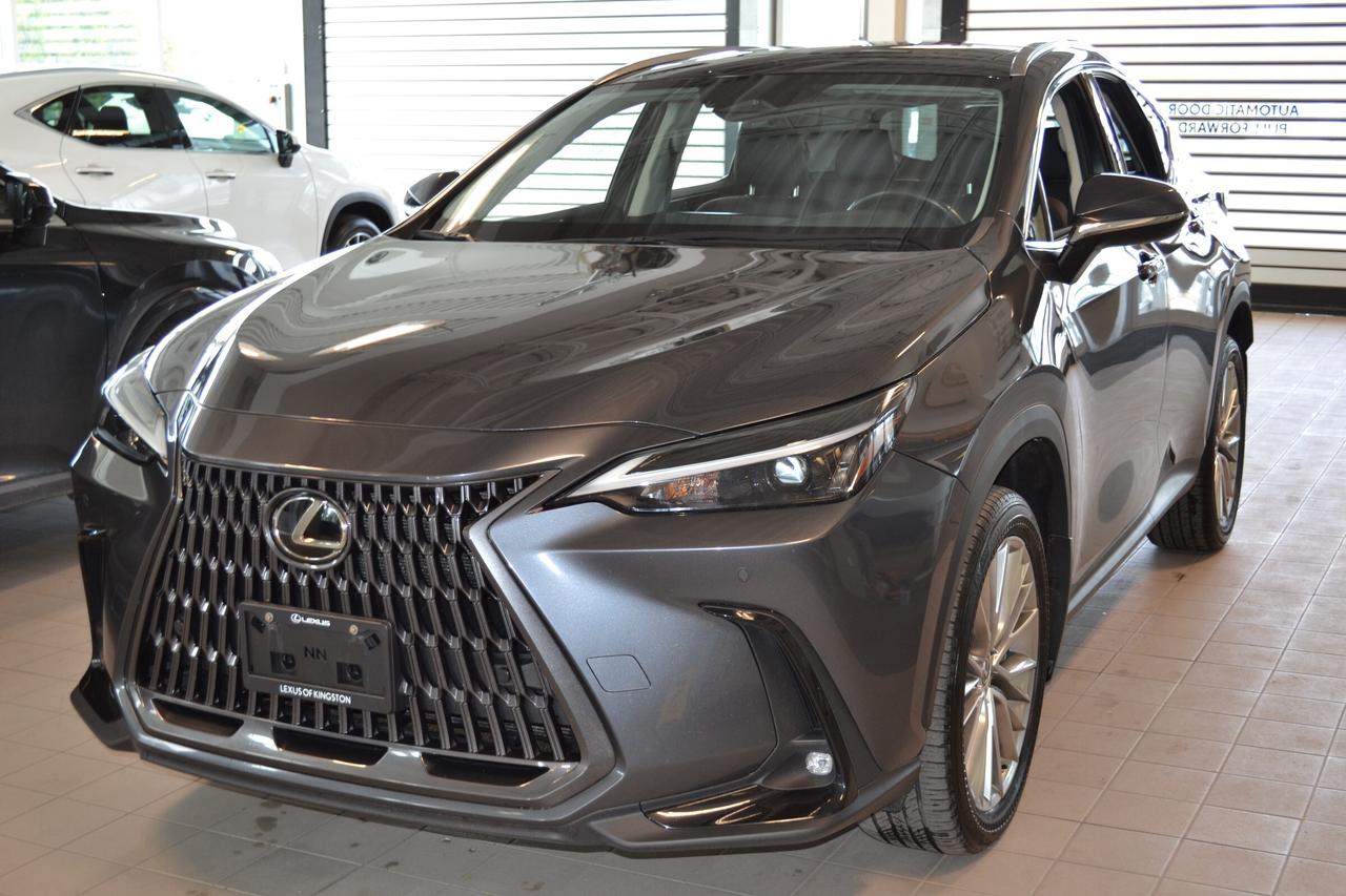 2024 Lexus NX 350  Photo0