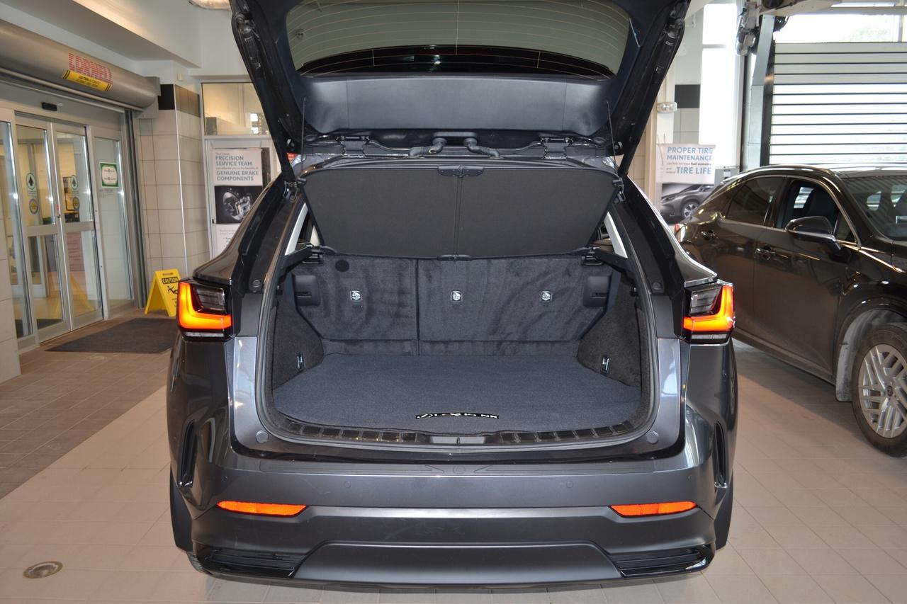 2024 Lexus NX 350  Photo