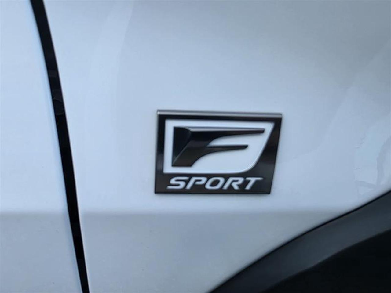 2021 Lexus UX 250h AWD W/Winter wheel pkg Photo