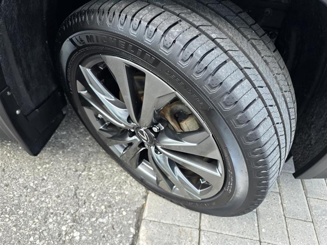 2021 Lexus UX 250h AWD W/Winter wheel pkg Photo