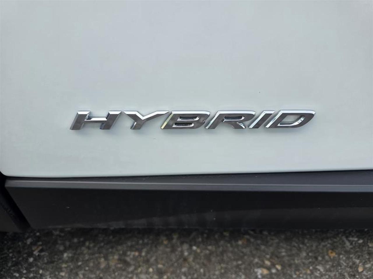 2021 Lexus UX 250h AWD W/Winter wheel pkg Photo